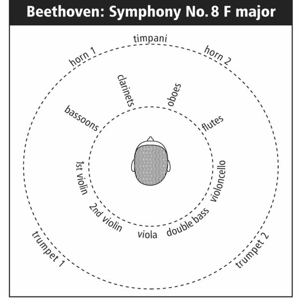 149 Instruments position symph. no. 8